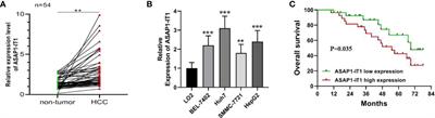 Novel Role of Long Non-Coding RNA ASAP1-IT1 in Progression of Hepatocellular Carcinoma